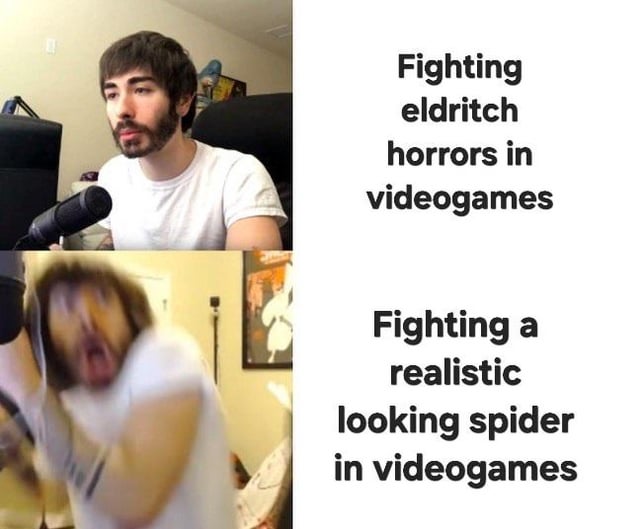 A two-panel meme contrasting reactions to different gaming scenarios. The top panel shows a person sitting calmly with a microphone, paired with the text 'Fighting eldritch horrors in videogames'. The bottom panel shows the same person in a panicked, blurred motion, paired with the text 'Fighting a realistic looking spider in videogames'. The humor lies in the relatable contrast between being unfazed by cosmic horrors versus being terrified by realistic spider depictions in games.
