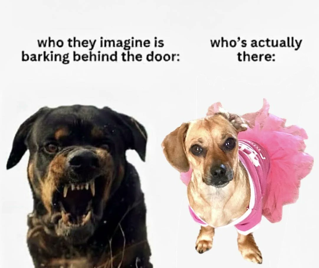 A two-panel meme contrasting the imagined versus actual dog barking behind a door. The left panel features an aggressive-looking Rottweiler with bared teeth, labeled 'who they imagine is barking behind the door:'. The right panel shows a small, cute dog wearing a pink tutu and matching outfit, labeled 'who's actually there:'. The humor stems from the stark反差 between the intimidating perception of a large, fierce dog and the reality of a tiny, harmlessly dressed dog.
