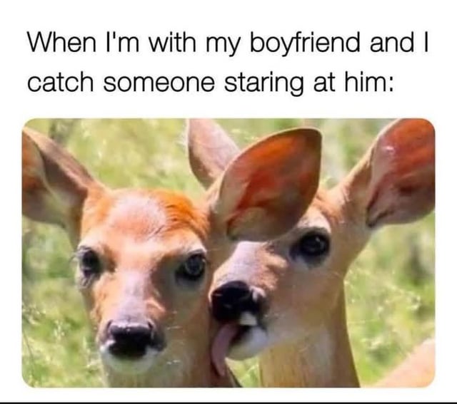 The meme consists of a top text caption reading 'When I'm with my boyfriend and I catch someone staring at him:' followed by a photograph of two deer in a grassy outdoor setting. The left deer has a neutral expression, looking directly at the camera, while the right deer is leaning its head toward the left deer, appearing to nuzzle or lick the left deer's face with a protective or possessive demeanor. The humor arises from anthropomorphizing the deer's behavior to comically represent a person's instinctive protective reaction when察觉到 someone staring at their romantic partner.