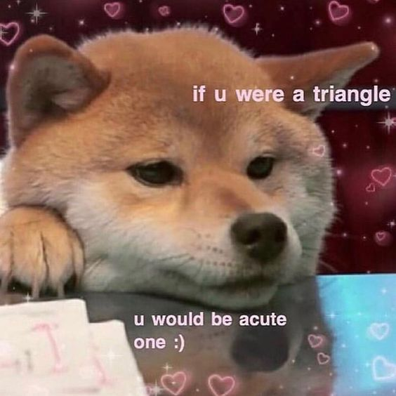 This cute wholesome meme features a real Shiba Inu dog resting its head on a flat surface with one paw propped up, looking softly at the viewer. The image has a decorative background with pink heart outlines and sparkling effects, and includes text that delivers a corny geometry pun pickup line: "if u were a triangle / u would be acute one :)" The pun uses the geometry term "acute triangle" (a triangle with all angles smaller than 90 degrees) which sounds identical to "a cute one", making it a cheesy, wholesome romantic joke.