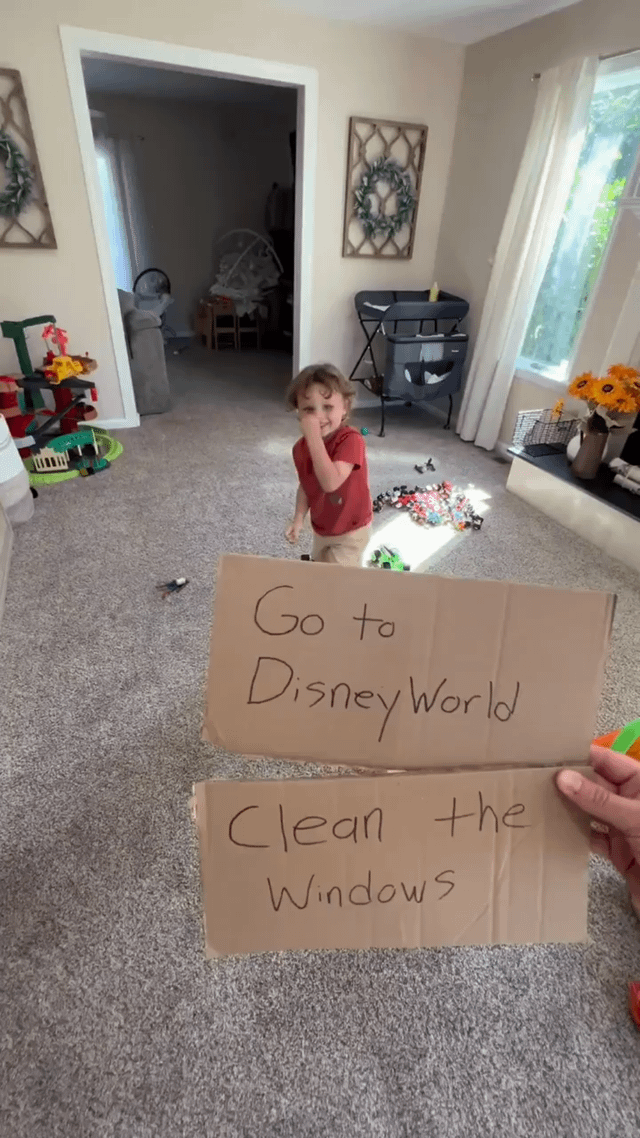 A photograph of a young toddler (approximately 2-3 years old) standing in a carpeted living room with scattered toys, including small figurines and a green toy car. The room appears lived-in, with baby gear (like a pack 'n play and high chair) visible in the background, along with sunflowers in a vase near a window. The child, wearing a red shirt and beige pants, stands hesitantly with one hand covering his mouth. In the foreground, a person's hand holds two cardboard signs with handwritten text: the top sign reads 'Go to DisneyWorld' and the bottom sign reads 'Clean the Windows,' presenting the toddler with a humorous choice between a fun outing and a household chore.