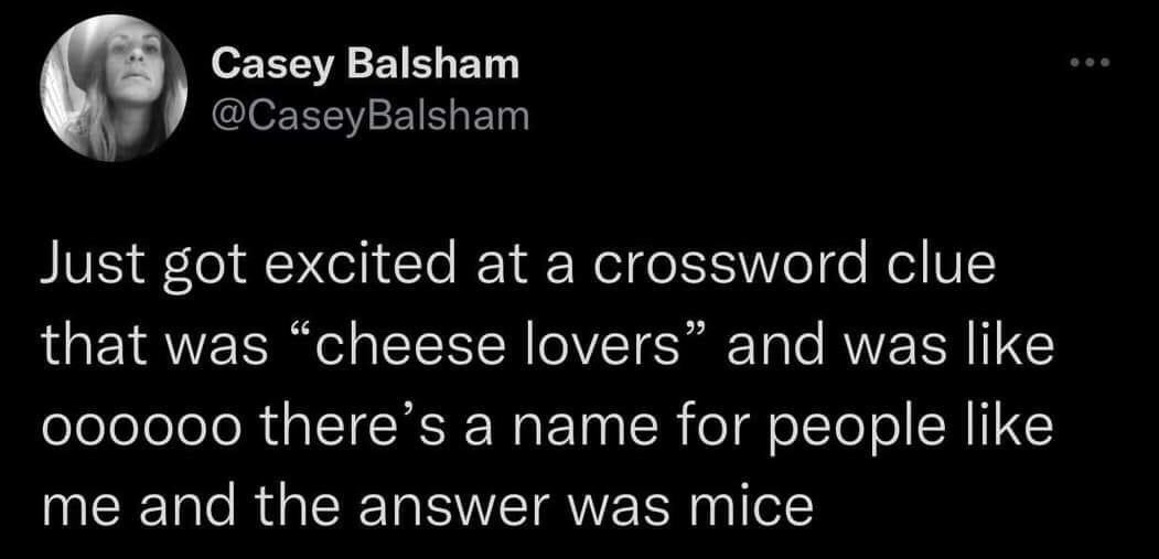 This is a screenshot of a public X (formerly Twitter) post. The author shares a funny personal anecdote: they felt excited when they saw a crossword clue for "cheese lovers", assuming there was a specific official term for people who love cheese like them, but the correct answer ended up being "mice", the small animal commonly stereotyped as loving cheese. The humor comes from the relatable, silly letdown of the unexpected punchline.