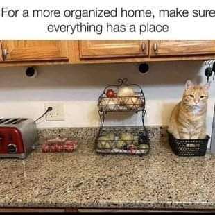This meme shows an organized kitchen countertop, with a red toaster on the left, a two-tier wire produce rack holding vegetables in the center, and a small black basket on the right holding a ginger tabby cat that fits perfectly inside. At the top of the image, the text reads "For a more organized home, make sure everything has a place". The joke uses the common home organization advice literally: it leans into the well-known cat behavior of squeezing into any small container they fit into, treating the cat as just another organized item that has its own proper place on the counter.
