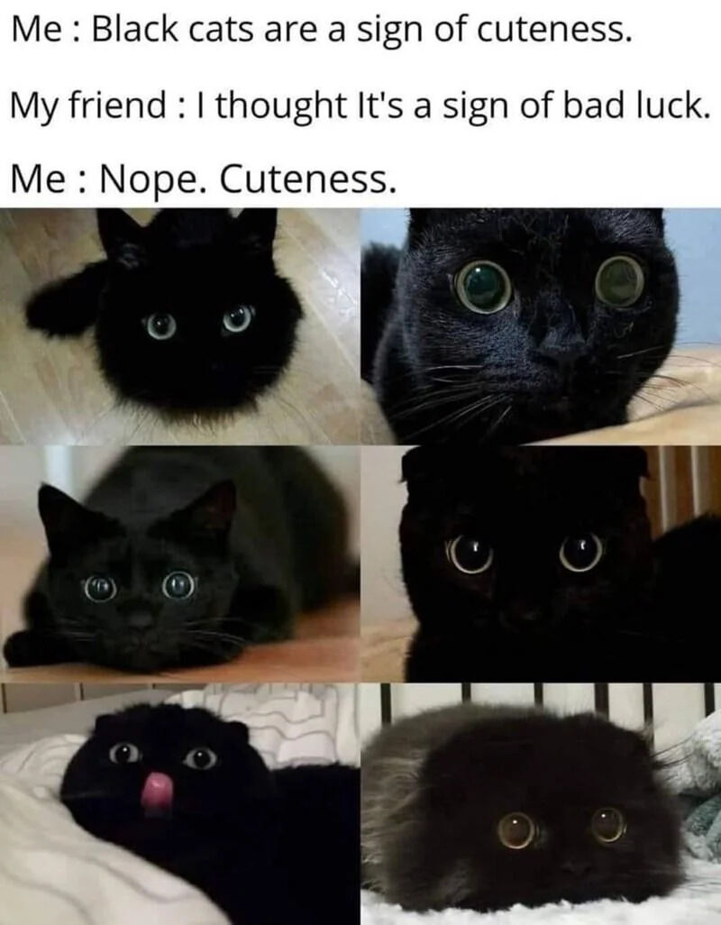 A wholesome meme consisting of two main sections: a text dialogue at the top and a 2x3 grid of six black cat photographs below. The dialogue reads: 'Me: Black cats are a sign of cuteness. My friend: I thought It's a sign of bad luck. Me: Nope. Cuteness.' The cat images showcase various endearing poses, including wide green/yellow eyes, a tilted head, a tongue sticking out, and relaxed postures, visually reinforcing the 'cuteness' argument against the traditional bad luck stereotype associated with black cats.
