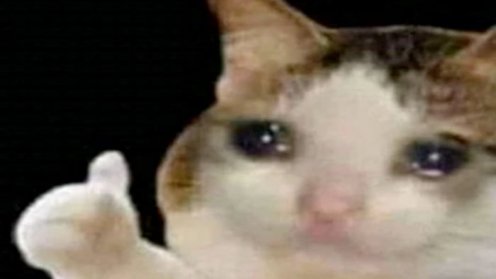 This meme consists of the widely recognized low-resolution crying thumbs up cat reaction image set against a solid black background, paired with a text post stating 'Today is my 69th birthday. Send me TT´s!'. The cat has glossy, tear-filled eyes and holds up a thumb in an ironic, sad-but-approving gesture. The post leans into the widely known sexual innuendo associated with the number 69, a reference to a common sexual position, and 'TTs' is internet slang for nude photos of female breasts, making the request cheeky and suggestive. The humorous effect comes from the juxtaposition of the cat's vulnerable, earnest expression with the lewd, playful birthday request.