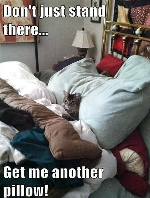 This is a funny wholesome animal meme showing a real domestic tabby cat partially tucked between a huge pile of overlapping pillows and blankets on a messy bed, staring directly at the camera with an expectant expression. Large white text with black outline is added to the image: the top text reads 'Don't just stand there...' and the bottom text reads 'Get me another pillow!', anthropomorphizing the cat to act like a demanding person who wants even more pillows for comfort, which plays on the relatable human love of having lots of soft pillows for sleeping or lounging.