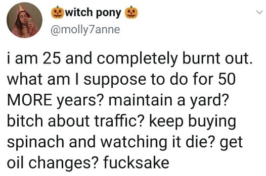 This is a screenshot of a public tweet from the X (formerly Twitter) platform. The tweet is posted by user @molly7anne, whose display name is 'witch pony' flanked by jack-o'-lantern emojis, and whose profile picture shows her taking a mirror selfie while wearing a pink novelty hat. The tweet text expresses extremely relatable exasperation from a 25-year-old who is experiencing burnout, questioning how they are expected to navigate 50 additional years of life filled with repetitive, boring adult responsibilities including yard maintenance, complaining about traffic, buying produce that goes bad before it is used, and routine car maintenance, with casual profanity used to emphasize their frustration.