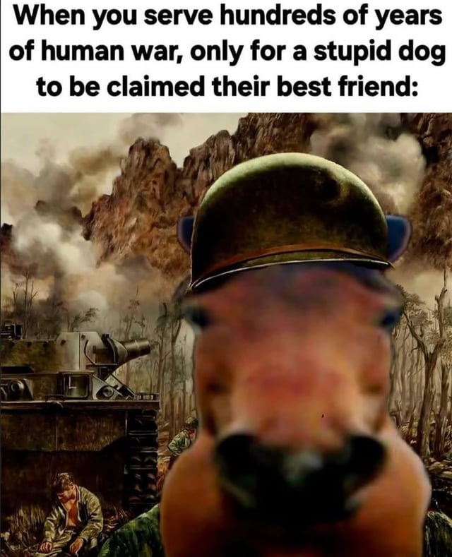 The meme consists of a top text overlay that reads: 'When you serve hundreds of years of human war, only for a stupid dog to be claimed their best friend:'. Below the text is a war-torn landscape featuring a military tank, soldiers, and a mountainous backdrop with smoke rising. In the foreground, there is a close-up of a horse's face edited to wear a military helmet, conveying a disillusioned or frustrated expression, as if reacting to the text's sentiment about horses being overshadowed by dogs as humans' 'best friends' despite their historical role in warfare.