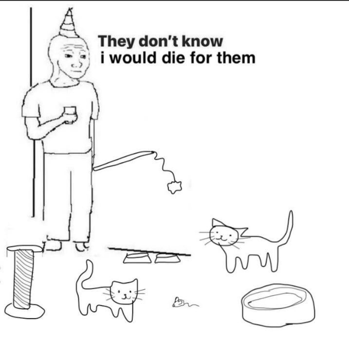 This is a crudely drawn black and white single-panel meme. A Wojak-style character wearing a small party hat leans against a wall holding a cup, with a cat toy wand extended towards two happy cartoon cats in front of him. Other cat supplies including a scratching post, food bowls, a toy mouse, and a cat bed are also visible. Text next to the man reads 'They don't know i would die for them'. The joke plays on the relatable feeling of devoted cat owners who care deeply for their pets, even when in other social settings, and no one else around is aware of how strong that affection is.