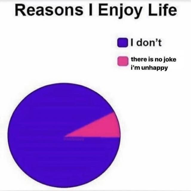 This is a self-deprecating, relatable meme formatted as a pie chart titled 'Reasons I Enjoy Life'. The overwhelming majority of the pie chart is dark purple, corresponding to the legend entry 'I don't'. A very small sliver of the pie is pink, corresponding to the second legend entry 'there is no joke i'm unhappy'. The humor comes from the dry, sarcastic admission that the creator has essentially no positive reasons to enjoy life, leaning into relatable jokes about general unhappiness and low mood that resonate with many internet users.