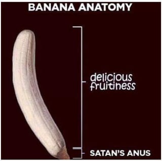 This meme is a parody educational anatomy chart featuring a peeled banana against a dark maroon background. It divides the banana into two distinct labeled sections: the large upper majority of the fruit is labeled 'delicious fruitiness', referring to the sweet, pleasant-tasting part of a banana that most people enjoy eating. The very small, hard bottom tip of the banana is crudely and hyperbolically labeled 'SATAN'S ANUS', which humorously references the common widely shared experience that this end tip of the banana tastes unpleasantly bitter and bad, exaggerating how unpleasant this part is for comedic effect.