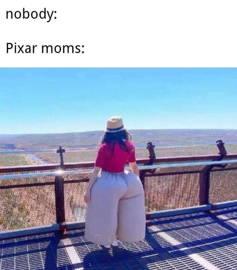 This meme uses the common 'nobody:' template to joke about a well-known character design trope in Pixar animated films, where mother characters are often drawn with exaggeratedly curvy, large lower body proportions. The image below the text shows a real woman viewed from behind, standing at a scenic overlook viewing platform. She wears a red short-sleeve top, a straw hat, and extremely voluminous, wide beige pants that create a visual illusion of an oversized lower body, perfectly matching the joked-about Pixar mom design style.