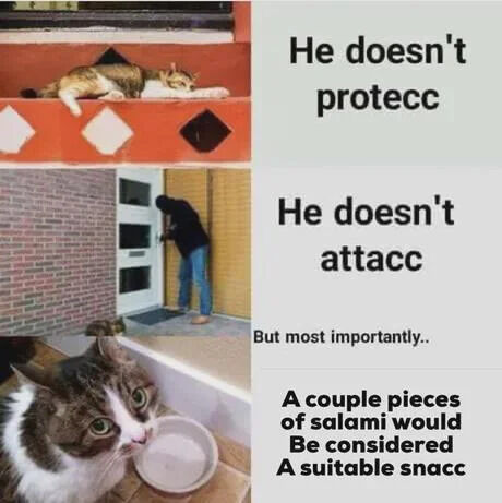 A meme collage with three left-aligned images and right-side text. Top left: a cat lies on an orange ledge with a neutral expression. Middle left: a person (back view) stands at a white door, possibly interacting with it. Bottom left: a close-up of a cat with curious/expectant eyes next to an empty white bowl. Right side text reads: 'He doesn't protecc', 'He doesn't attacc', followed by 'But most importantly... A couple pieces of salami would Be considered A suitable snacc'. The layout uses the 'protecc/attacc' meme format, subverting the typical third line to focus on the cat's desire for salami as a snack.