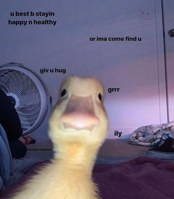 This meme features a close-up, eye-level photo of a baby duckling staring intensely at the camera, set in a casual indoor background with a standing fan, a person's leg, and clothing on a soft surface. Playful, contrasting text overlays surround the duckling, blending aggressive-sounding phrasing with affectionate, caring intent: 
- Top left: "u best b stayin happy n healthy"
- Top right: "or ima come find u"
- Left of duck: "giv u hug"
- Right of duck: "grrr"
- Bottom right: "ily" (internet shorthand for "I love you")

The core humor comes from the juxtaposition of the duckling's intense, wide-eyed stare with the sweet, supportive message. The "threat" of coming to find the viewer is undercut by the promise of a hug and a declaration of love, creating a silly, endearing, wholesome tone that feels both playful and caring.