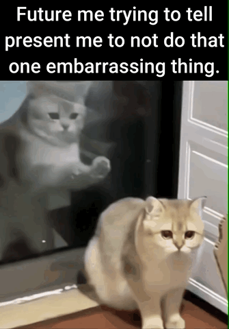 This single-panel meme shows a light orange cat sitting calmly on the floor in front of a dark glass window or door, facing the viewer with a blank, unbothered expression. Behind the cat, its reflection in the glass is visible, with one paw raised as if it is trying to bang on the glass to get the attention of the cat in front of it. White text is overlaid on a black bar at the top of the image, reading 'Future me trying to tell present me to not do that one embarrassing thing.' The meme uses the reflection as a metaphor for a person's future self who already knows the embarrassing consequences of an action, trying fruitlessly to warn the oblivious present self before they make the mistake, leaning into the universal relatable experience of regretting past impulsive or cringeworthy decisions.