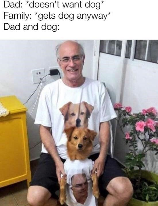 This wholesome and humorous meme leans into a widely relatable pet parent trope: a father initially opposed to getting a family dog, who forms an unbreakable bond with the pet after the family brings it home. The core visual gag uses a clever forced perspective trick: the older man (dad) wears a white t-shirt printed with the golden retriever's face, while the dog wears a tiny matching shirt printed with the dad's face. When the dog sits in the dad's lap, the pair creates an optical illusion that swaps their bodies—making it appear the dog has the dad's torso and the dad has the dog's head. The text overlay at the top sets up the joke:

*Dad: *doesn't want dog*
Family: *gets dog anyway*
Dad and dog:*

This gag emphasizes the pair's inseparable bond, highlighting the warm, funny dynamic of reluctant pet parents falling deeply in love with their pets.