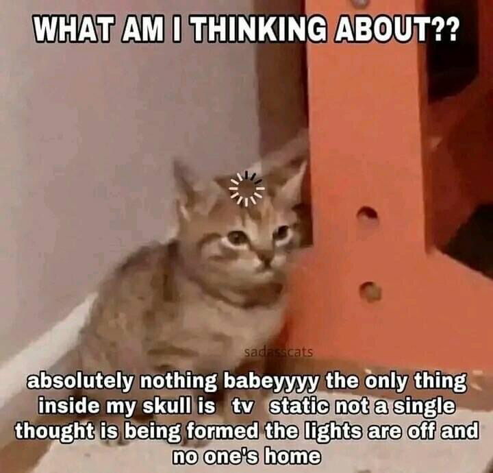 This is a relatable humorous meme featuring a small, blank-faced tabby kitten looking directly at the viewer, with a digital loading/spinner icon edited onto its forehead to imply no active brain activity. Text at the top of the image poses the question "WHAT AM I THINKING ABOUT??", while text at the bottom delivers the punchline: the cat has absolutely no thoughts in its head, only TV static, with no active thinking occurring, jokingly describing the experience of having a completely empty, unoccupied mind.