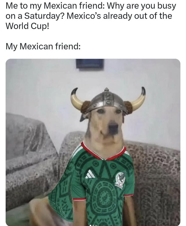 This is a single-panel sports meme. The top text sets up a joke: the speaker asks their Mexican friend why they are busy on a Saturday when Mexico has already been eliminated from the World Cup. The response is represented by a photoshopped image of a dog sitting on a couch, wearing an official Mexico national soccer team jersey and a Viking horned helmet, with a stoic, unamused expression. The joke plays on the common phenomenon where fans of teams eliminated from the World Cup adopt another team to support for the rest of the tournament: the Viking helmet implies the Mexican friend is now supporting a Nordic national team (such as Denmark, Sweden, Norway, or Iceland) that remains in the competition.