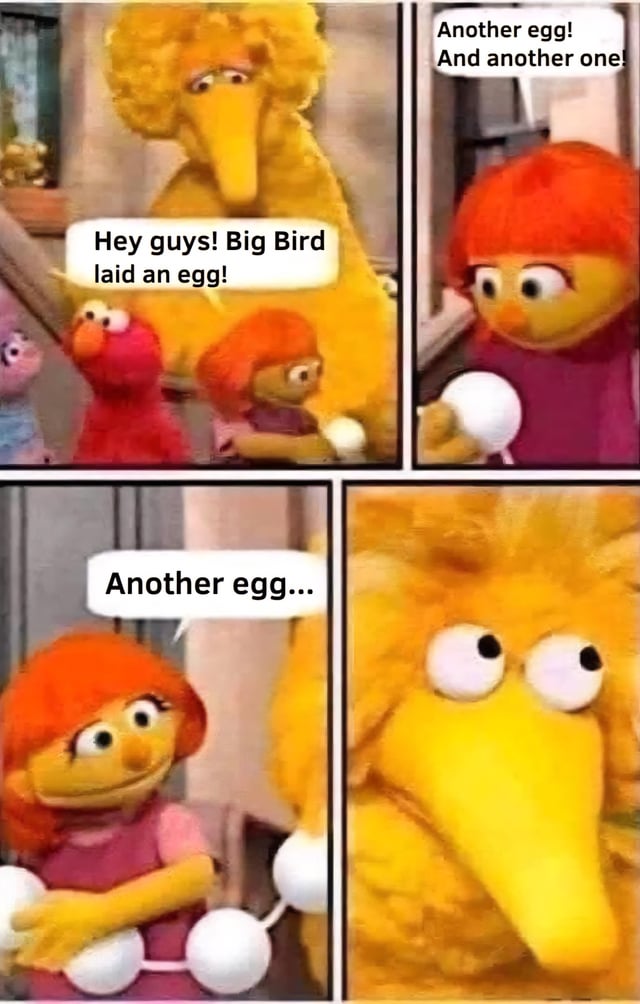 A 4-panel comic meme featuring Sesame Street characters. Panel 1: Big Bird (large yellow bird) stands with smaller characters including Elmo (red) and a red-haired character, announcing, "Hey guys! Big Bird laid an egg!" Panel 2: Close-up of the red-haired character holding a white egg, exclaiming, "Another egg! And another one!" Panel 3: The red-haired character now holds multiple eggs, saying, "Another egg..." with a concerned expression. Panel 4: Extreme close-up of Big Bird's face with wide, shocked eyes.