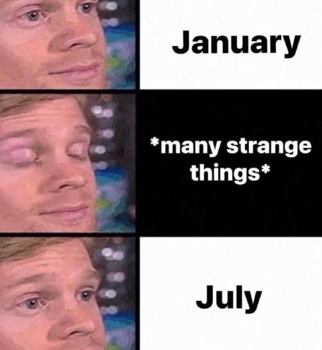 This is a 3-panel reaction meme featuring the popular 'Blinking Guy' (Drew Scanlon) format. The first panel shows the character looking calm and neutral, paired with the text 'January' to represent the start of the year. The second panel shows the character with his eyes closed as if blinking or zoning out, paired with the text '*many strange things*' on a black background, signifying a large number of unexpected, chaotic events passing by in a blur. The third panel shows the character opening his eyes looking surprised and slightly disoriented, paired with the text 'July' to signify the year is already halfway over. The joke conveys the relatable feeling that the first half of a year passes extremely quickly, with so many unplanned events occurring that people barely process the passage of time before arriving at mid-year.