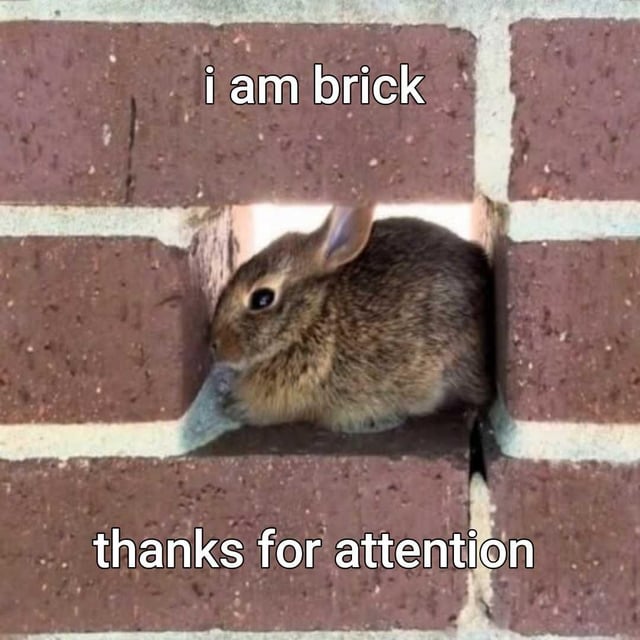 The meme features a small wild brown rabbit fitting perfectly into a rectangular gap where a brick is missing from a red brick wall, making it look like the rabbit itself is the missing brick. White sans-serif text at the top of the image reads 'i am brick', while text at the bottom reads 'thanks for attention'. The humor comes from the silly visual gag: the rabbit's position in the wall makes its absurd claim of being a brick feel surprisingly plausible in the lighthearted context of the meme.