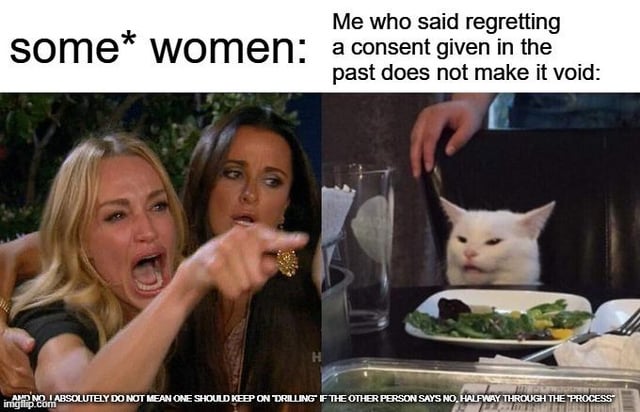 This is a two-panel meme using the viral "Woman Yelling at a Cat" template to make a nuanced point about consent discourse. The left panel shows two cast members from The Real Housewives of Beverly Hills, with an enraged Taylor Armstrong screaming and pointing, labeled as "some* women:". The right panel shows the confused, unbothered Smudge the Cat sitting at a dinner table, labeled as "Me who said regretting a consent given in the past does not make it void:". A fine print disclaimer at the bottom clarifies that the statement does not mean consent cannot be withdrawn mid-activity, explicitly stating that people should stop if their partner says no during sexual activity. The meme humorously depicts an argument about distinguishing between regret for past consensual acts and non-consensual activity due to withdrawn consent.