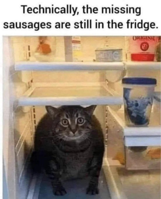 This meme features a photo of a wide-eyed tabby cat sitting upright on the bottom shelf of an open, mostly empty refrigerator. Text at the top of the image reads "Technically, the missing sausages are still in the fridge." The joke relies on wordplay and technicality: the cat has eaten the missing sausages, so the sausages are still located within the refrigerator space, but they are inside the cat's body rather than being stored as intact food on the fridge shelves as expected. The cat's wide, somewhat smug guilty expression amplifies the comedy of the implied excuse for stealing the sausages.