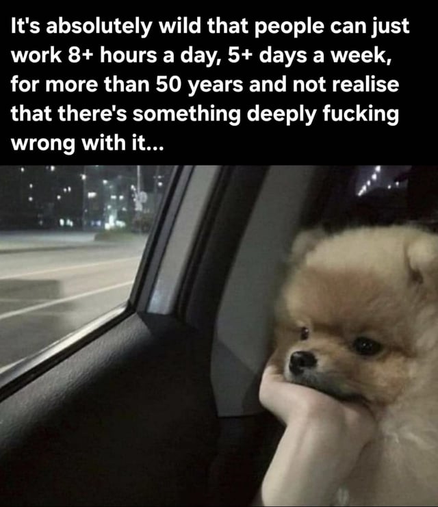 The meme comprises a top text block and a bottom photograph. The text reads: 'It's absolutely wild that people can just work 8+ hours a day, 5+ days a week, for more than 50 years and not realise that there's something deeply fucking wrong with it...' Below the text is a photograph of a small, fluffy Pomeranian dog sitting in a car's passenger seat at night. The dog rests its head on a human hand, gazing contemplatively out the window at a nighttime road with city lights in the distance. The text critiques societal norms around long work hours, while the dog's melancholic expression reinforces the emotional weight of the observation.
