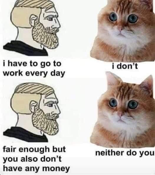This is a two-panel two-column comparison meme. The left column features the popular stoic bearded Nordic/Yes Chad wojak illustration, while the right column uses a photo of a wide-eyed, unbothered orange cat. In the first row, the wojak says "i have to go to work every day", and the cat replies "i don't". In the second row, the wojak attempts to mock the cat by saying "fair enough but you also don't have any money", and the cat immediately claps back with "neither do you". The joke highlights relatable frustration with low-wage, unfulfilling work that fails to build wealth, pointing out that working every day does not guarantee financial security.