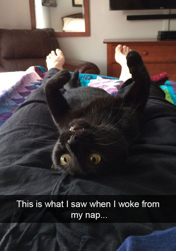 This is a viral funny optical illusion photo meme. A black cat lies upside down on a person's lap, with its front paws raised upward. The person's actual bare feet are positioned directly behind the cat's raised paws, creating a hilarious illusion that the cat has human feet, or that the cat's head is attached to the person's body. The caption at the bottom reads "This is what I saw when I woke from my nap...", playing on the disorientation of just waking up and seeing this surreal sight.