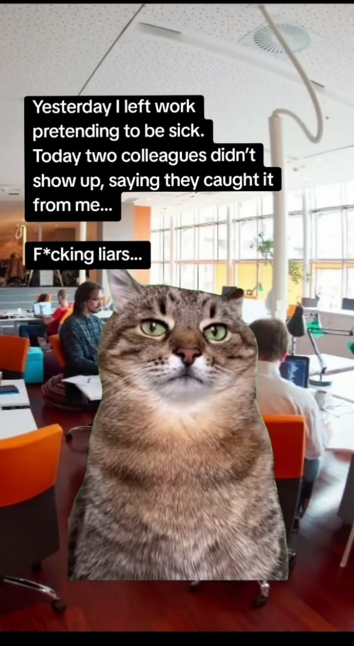 The image is a humorous meme featuring a large, realistic tabby cat's face superimposed onto a human body seated in a modern office environment. The office has orange chairs, desks with laptops, and colleagues working in the background. The cat has a neutral, slightly unamused expression with green eyes. Two black speech bubbles contain text: the first reads, 'Yesterday I left work pretending to be sick. Today two colleagues didn’t show up, saying they caught it from me...' and the second, 'F*cking liars...'. The meme humorously portrays the frustration of faking an illness to skip work, only to have colleagues use the same excuse, framed through relatable workplace dynamics.