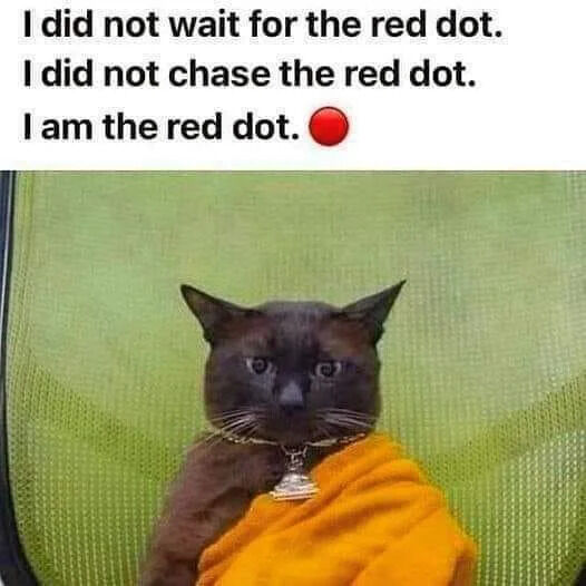 A meme image with upper text and lower photograph. The text reads: 'I did not wait for the red dot. I did not chase the red dot. I am the red dot.' followed by a red dot emoji (🔴). Below is a photo of a black cat with a silver bell collar, wrapped in an orange cloth, sitting on a green mesh chair. The cat has a calm, slightly serious expression with perked ears. It subverts the common trope of cats chasing red laser dots by positioning the cat as 'the red dot' itself, creating humor and empowerment.
