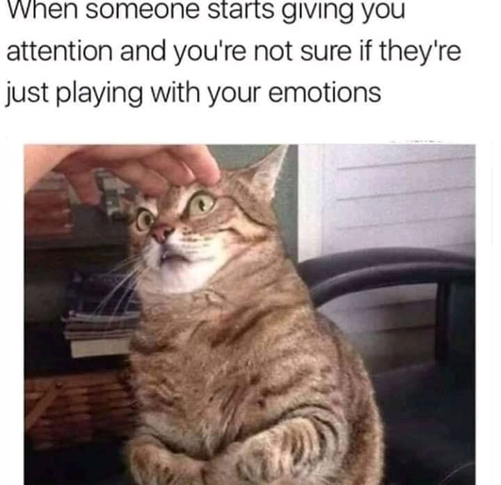 A meme consisting of a top text overlay and a photograph. The text reads: 'When someone starts giving you attention and you're not sure if they're just playing with your emotions'. Below the text is a photograph of a tabby cat with brown and black stripes. The cat is sitting upright, looking upward with wide green eyes, perked ears, and a slightly open mouth, conveying a mix of curiosity and uncertainty. A human hand is gently petting the cat's head, and the background shows a blurred indoor setting with a chair and bookshelf.