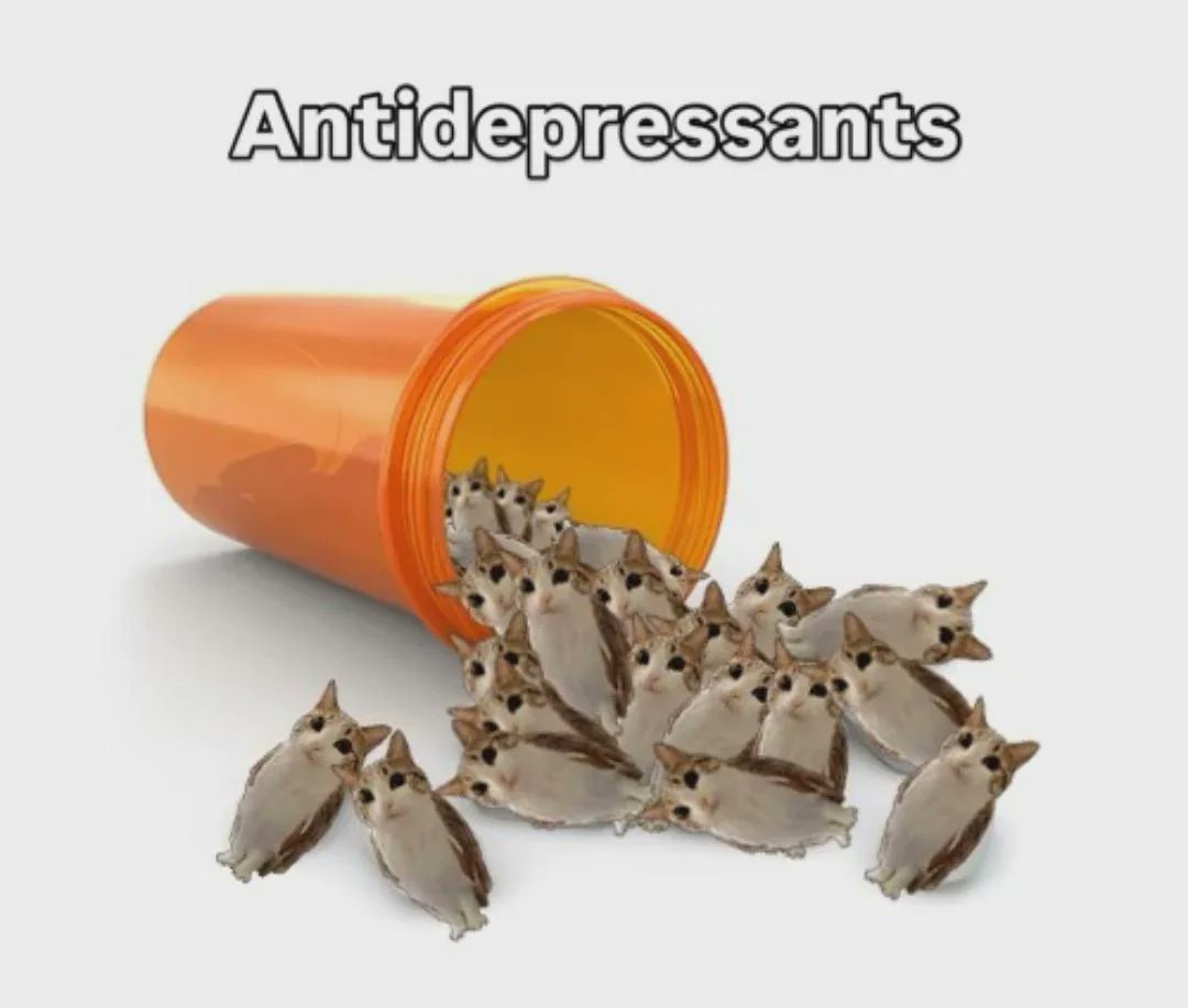 An image featuring an orange prescription pill bottle with the word 'Antidepressants' written in bold, white text at the top. The bottle is tilted, spilling out numerous small, cute, grayish animals with large eyes and pointed ears (resembling sugar gliders) instead of pills. The background is plain white, making the bottle and animals the focal point. The meme uses a visual metaphor to frame antidepressants as bringing forth cute, comforting creatures, conveying a wholesome message about mental health treatment.
