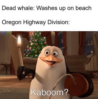 This is a single panel reaction meme. The top text sets up a scenario: first line reads 'Dead whale: Washes up on beach', the second line reads 'Oregon Highway Division:'. Below this text is a screenshot of Rico, the penguin character from *Penguins of Madagascar*, who is grinning excitedly while holding a lit stick of dynamite, with text overlaid on the image reading 'Kaboom?'. The joke references the real historical 1970 Oregon incident where the state highway division infamously used dynamite to try to dispose of a beached dead whale, leading to a widely mocked chaotic mishap where large chunks of whale blew over a wide area and damaged nearby cars. The penguin character, known for his obsession with explosions, is used to represent the highway division's absurd first choice of solution.