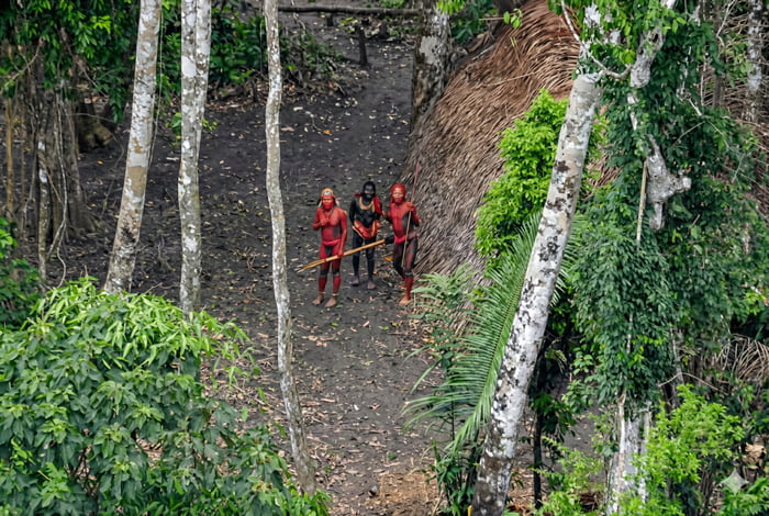 The image shows three members of the Mashco-Piro, an uncontacted Indigenous tribe, standing on a dirt path in the Peruvian Amazon rainforest. They are covered in red body paint (noted for protection) and hold long sticks. The scene includes tall trees, dense green foliage, and a thatched-roof structure, indicating a forest settlement. Captured via drone, it provides an aerial view of their natural habitat without direct human interference.