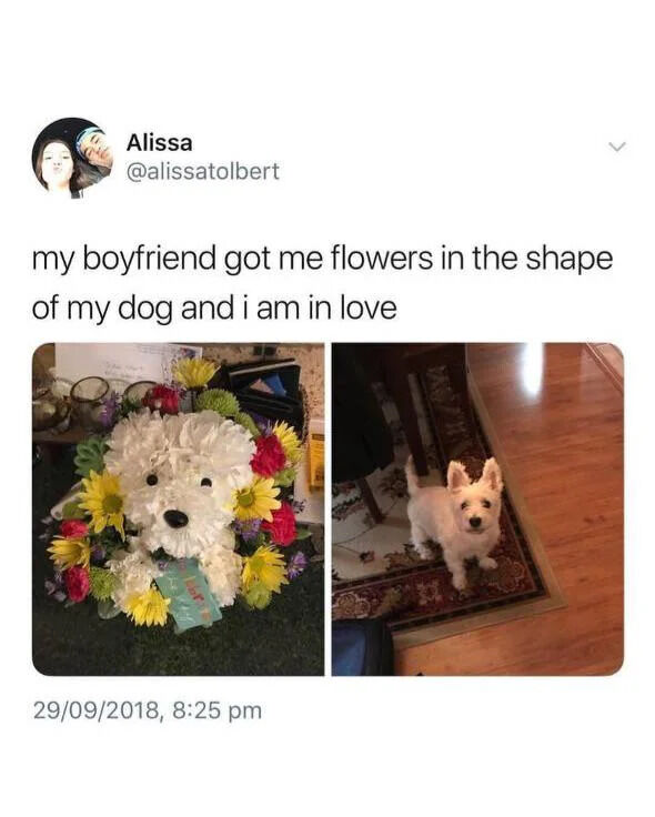 A screenshot of a social media post by user Alissa (@alissatolbert) dated 29/09/2018 at 8:25 pm. The post text reads: 'my boyfriend got me flowers in the shape of my dog and i am in love'. Below the text are two images: the left image shows a colorful flower arrangement crafted to resemble a small white dog, with a black nose and eyes made from flowers, surrounded by yellow, red, and purple blooms; the right image shows the actual small white dog standing on a patterned rug, looking alert and neutral. The post conveys a heartfelt and wholesome moment of receiving a personalized gift.