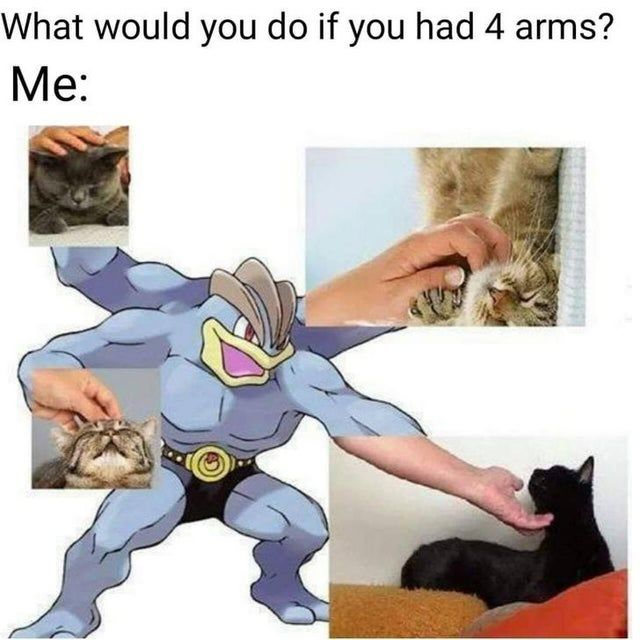 This meme responds to the question "What would you do if you had 4 arms?" with a humorous, wholesome visual gag. The four-armed Pokémon character Machamp has each of its limbs replaced by a photo of a human hand petting a different cat. The joke leans into the widespread internet affection for cats, framing the ultimate use of extra arms as fulfilling the relatable desire to pet multiple cats simultaneously. The visual perfectly aligns Machamp's iconic four limbs with the fantasy of giving affection to several cats at once, creating a lighthearted, relatable scenario for animal lovers.