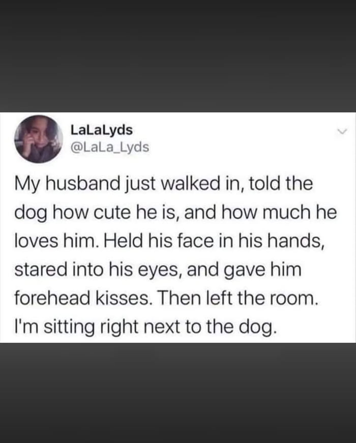 This image is a screenshot of a public Twitter post. The tweet author shares a funny personal anecdote: her husband walked into the room, lavished their family dog with affectionate attention, including telling the dog he was cute, expressing his love for it, holding its face, staring into its eyes, and giving it forehead kisses, then left the room entirely without acknowledging her, even though she was sitting directly next to the dog the entire time. The lighthearted joke comes from the husband clearly prioritizing greeting the family pet over greeting his wife.