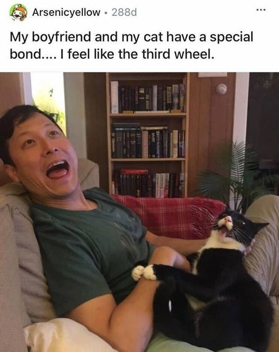 This meme depicts a relatable, humorous scenario where a girlfriend feels excluded by the tight bond between her boyfriend and their pet cat. The top text reads: "My boyfriend and my cat have a special bond..... I feel like the third wheel." Below the text, an image shows a man lying on a couch with an exaggerated, joyful open-mouthed expression, holding a black-and-white cat that mirrors his exact excited facial expression. The visual parallel of their matching looks emphasizes their playful, intimate connection, driving home the joke of the girlfriend feeling like an outsider in her own household. It's a lighthearted take on the common experience of pets forming strong attachments to one partner, leaving the other feeling overlooked.