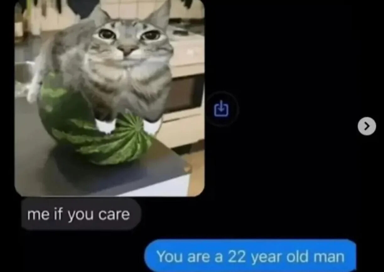 The image features a gray cat sitting inside a hollowed-out watermelon, positioned on a kitchen counter with a blurred kitchen background (including cabinets and a stove). The cat appears calm with a neutral expression. Two text bubbles are overlaid: a gray bubble with 'me if you care' and a blue bubble with 'You are a 22 year old man'. The image includes mobile UI elements: a blue circular download icon on the right side and a white circular 'next' icon at the bottom right, suggesting it is a screenshot from a social media platform.