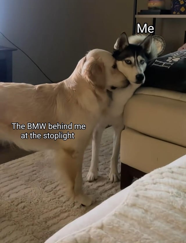 This is a relatable humorous meme featuring two dogs in an indoor living space. A visibly uncomfortable husky leaning against the edge of a beige couch is labeled "Me", while a golden retriever standing extremely close and pressing its face against the husky's neck and face is labeled "The BMW behind me at the stoplight". The meme jokes about the widely shared stereotype that BMW drivers often tailgate other cars aggressively, stopping extremely close to the vehicle in front of them at traffic lights.