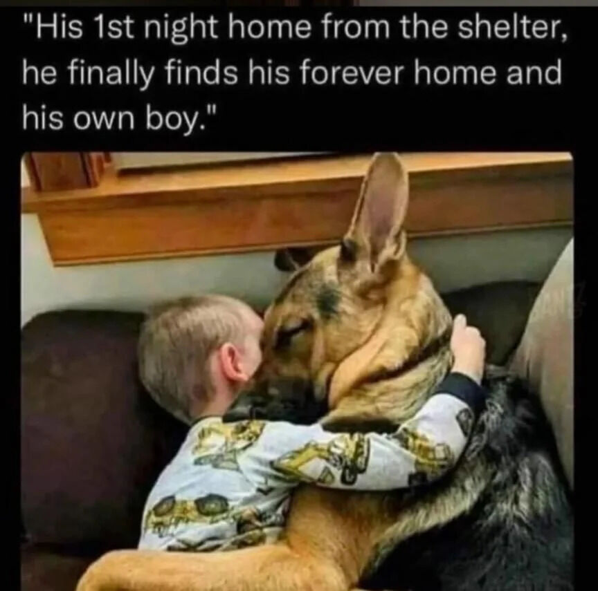 The image depicts a heartwarming scene of a young boy and a German Shepherd dog hugging closely on a couch. The boy, with short blonde hair and wearing a white long-sleeve shirt with yellow and black patterns, has his arms wrapped around the dog's neck, pressing his cheek against the dog's head. The German Shepherd, with a tan and black coat, has its eyes closed, appearing calm and content. In the background, there is a wooden windowsill, adding a cozy home setting. Above the image, there is text that reads: 'His 1st night home from the shelter, he finally finds his forever home and his own boy.'