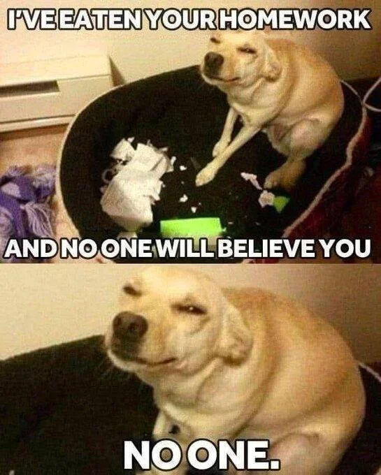 This is a two-panel vertical meme featuring a yellow Labrador retriever. In the top panel, the dog sits in its dark dog bed next to a pile of chewed, torn paper that represents destroyed homework, with text above it reading "I'VE EATEN YOUR HOMEWORK" and text below the bed reading "AND NO ONE WILL BELIEVE YOU". The bottom panel is a close-up shot of the same dog making an extremely smug, self-satisfied, taunting smirk directed at the viewer, with the text at the bottom emphasizing "NO ONE.". The joke relies on the widely known, stereotypical student excuse "my dog ate my homework" that is almost never believed by teachers, so the dog is bragging that it destroyed the work and the owner will have no way to prove their excuse is legitimate.
