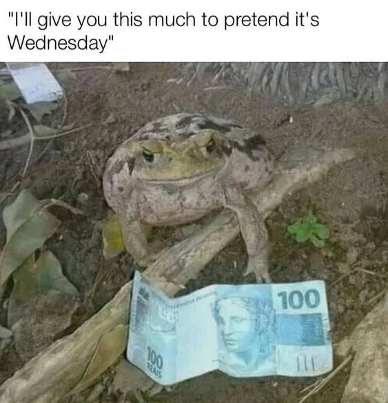 A meme image featuring a real toad positioned on dirt in a natural outdoor environment, surrounded by leaves and sticks. In front of the toad lies a 100 euro banknote. A text overlay at the top of the image reads, 'I'll give you this much to pretend it's Wednesday.' The humor stems from the anthropomorphic scenario of bribing the toad to feign it being Wednesday, likely mocking mid-week slumps or the desire to accelerate the workweek. The toad's neutral expression contrasts with the absurdity of the bribe, enhancing the comedic effect.
