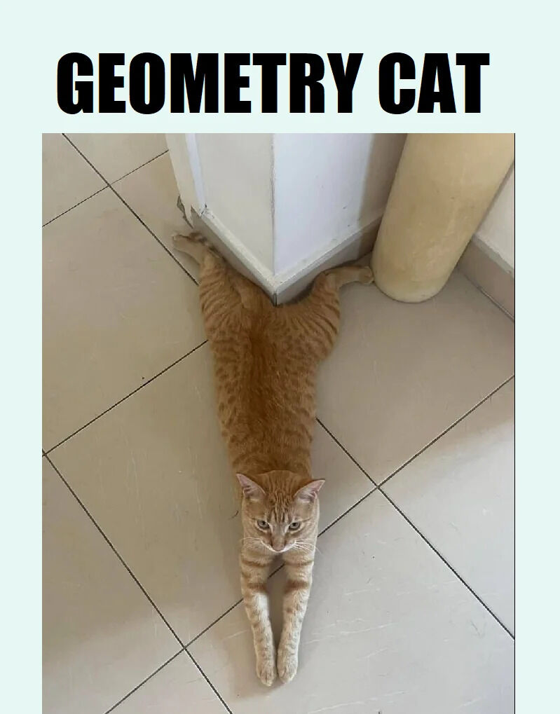 The image features an orange tabby cat stretched out on a light-colored tiled floor, positioned in the corner where a white wall meets another surface. The cat's body forms a distinct right angle (resembling a geometric shape) with its front legs extended forward and hind legs stretched back into the corner, creating a straight, angular posture. Above the cat, in bold black uppercase letters, is the text 'GEOMETRY CAT', which humorously references the cat's shape mimicking a geometric angle. A beige cylindrical object (likely a cat scratching post) is visible near the corner, and the overall scene is bright and clear.