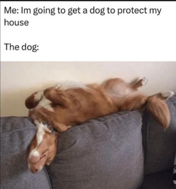 A wholesome meme consisting of two parts: top text and a photograph. The top text reads, 'Me: I'm going to get a dog to protect my house' followed by 'The dog:'. Below is a photograph of a brown and white dog lying on its back on a gray couch, with its legs splayed in the air, head resting on a couch cushion, and eyes half-closed, appearing completely relaxed and sleepy. The humor stems from the contrast between the expectation of a vigilant, protective dog and the reality of a lazy, napping pet, creating a lighthearted and endearing effect.