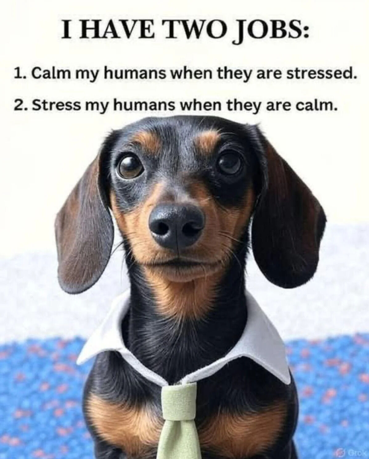 This is a wholesome relatable meme featuring a real black and tan dachshund wearing a white dress shirt collar and a light green tie, staring directly at the camera with a neutral, serious expression. Above the dog, text lists out the two "jobs" that pet dogs have for their owners: first, calming their humans when the humans are stressed, and second, stressing their humans when the humans are calm. The joke plays on the dual nature of dogs, who are both comforting emotional support companions and chaotic troublemakers that cause their owners occasional stress.
