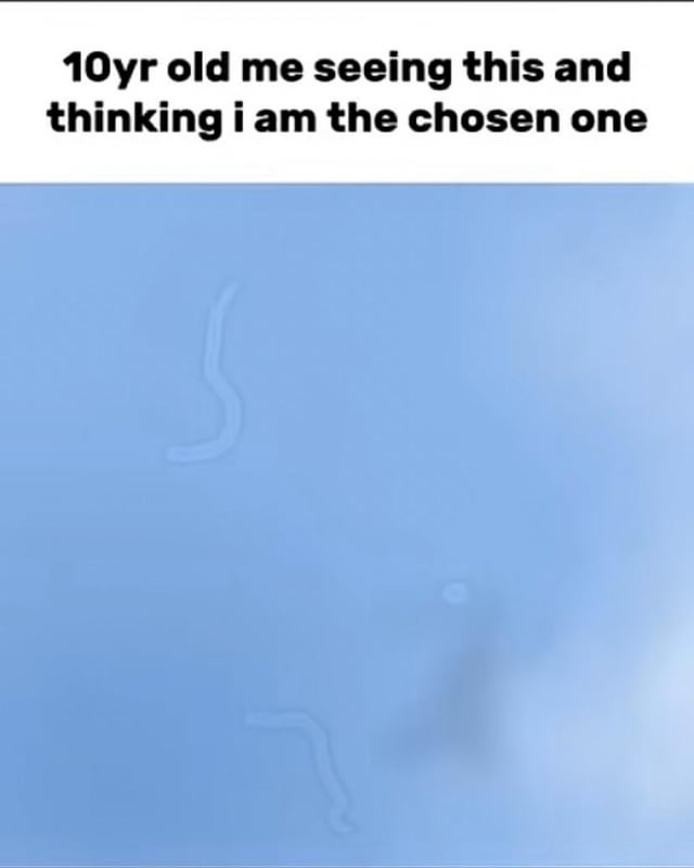 The image consists of a white top bar with black text reading '10yr old me seeing this and thinking i am the chosen one'. Below the text is a light blue background featuring two faint, curved, worm-like shapes that appear to be smudges or reflections. The combination of the text and the indistinct shapes humorously captures the childhood tendency to interpret trivial or random visual elements as significant signs of being 'chosen' or special.