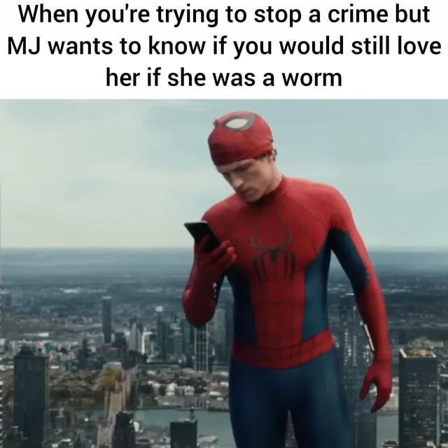 This meme features a screenshot of Tom Holland's Spider-Man (Peter Parker) standing on a tall building overlooking a sprawling city, looking down at his smartphone with an annoyed, exasperated expression. The top text caption reads: *"When you're trying to stop a crime but MJ wants to know if you would still love her if she was a worm"*. It humorously contrasts the high-stakes, urgent duty of a superhero stopping crime with a silly, unexpected, yet relatable relationship question that interrupts his focus, playing on the common trope of partners asking whimsical love-related questions at inconvenient times.